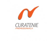 siteItem_details : Servicii curatenie Bucuresti