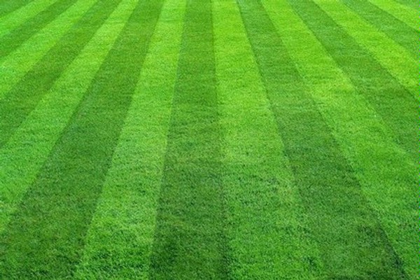 siteItem_details : Camin de batrani Millenium